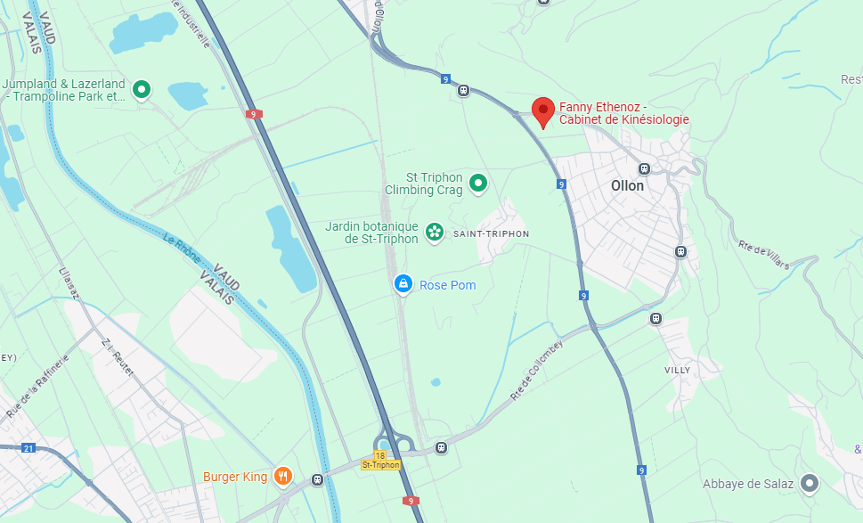 Google Maps